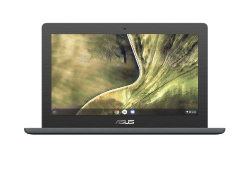 ASUS Chromebook C204MA-YB02-GR laptop Intel® Celeron® N N4020 11.6" HD 4 GB LPDDR4-SDRAM 32 GB eMMC Wi-Fi 5 (802.11ac) ChromeOS Gray