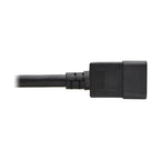 Tripp Lite P035-003 power cable Black 35.8" (0.91 m) C20 coupler C21 coupler