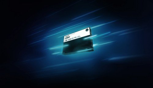 Kingston Technology DC3000ME 7.68 TB U.2 PCI Express 5.0 NVMe 3D eTLC