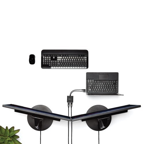 StarTech.com MSTMDP122DP video splitter Mini DisplayPort 2x DisplayPort