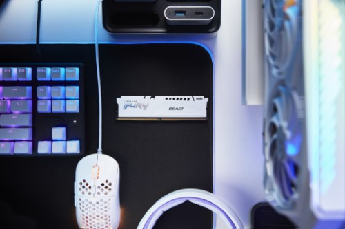 Kingston Technology FURY Beast memory module 16 GB 1 x 16 GB DDR5 5600 MT/s