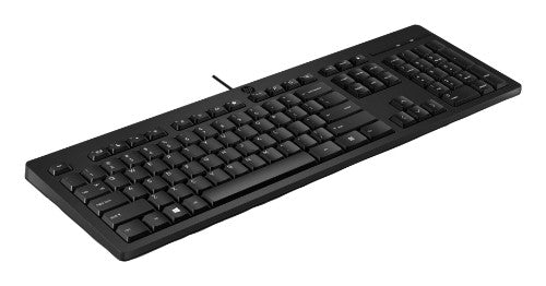 HP 125 USB Wired Keyboard (Bulk Qty.12)