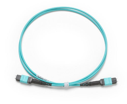 Fluke TRC-MPO-PP-B InfiniBand/fibre optic cable 39.4" (1 m) Blue