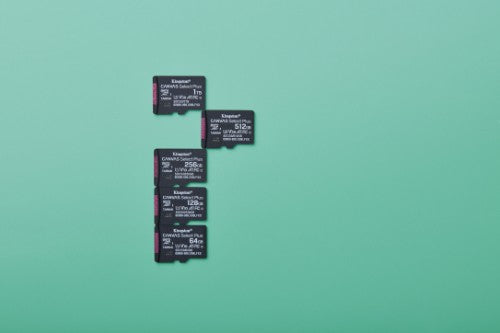 Kingston Technology Canvas Select Plus Gen3 256 GB MicroSDXC UHS-I Class 10